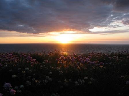 Alles van waarde is weerloos