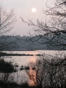 Fietsen over paden door de Malpie