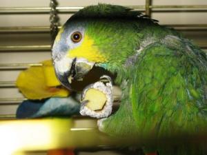 We praten elkaar allemaal na IMG_0773