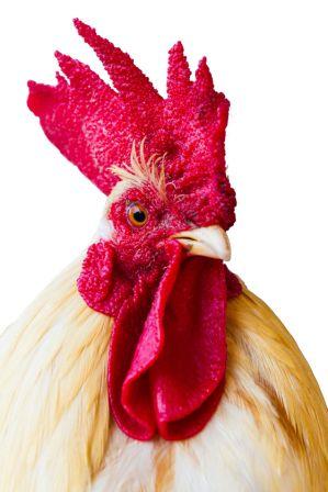 MEDIATION, EINDELIJK…