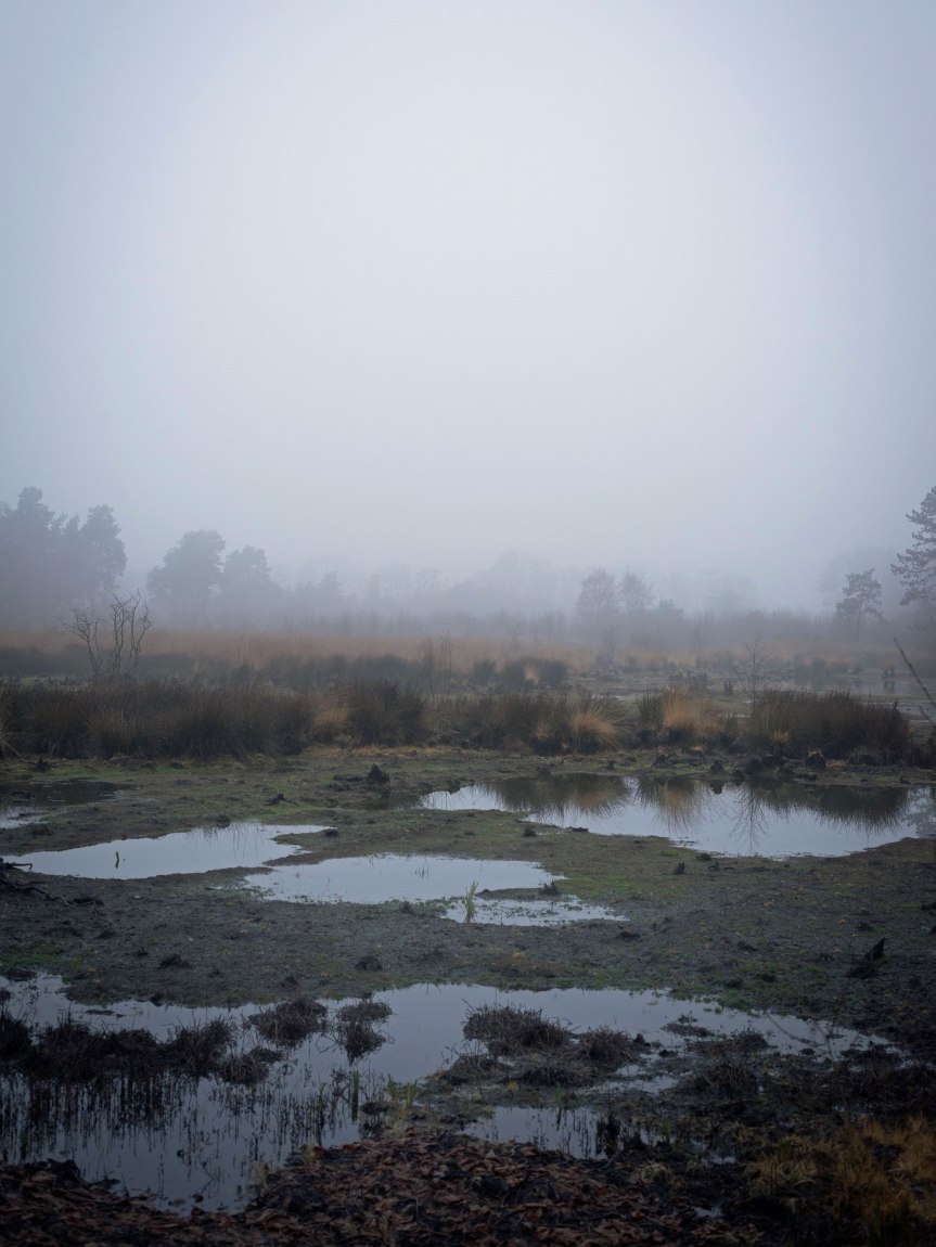 VAGINAAL OF CLITORAAL?