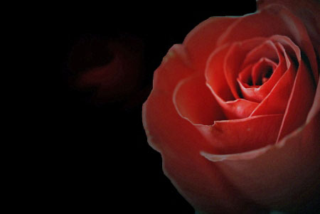 WIE IS HIER NOU&nbsp;SCHIZOFREEN?