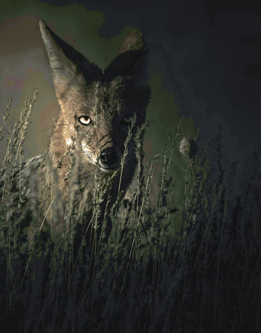 WAAR IS DE ECHTE ‘EDDIE&nbsp;REDMAYNE’?